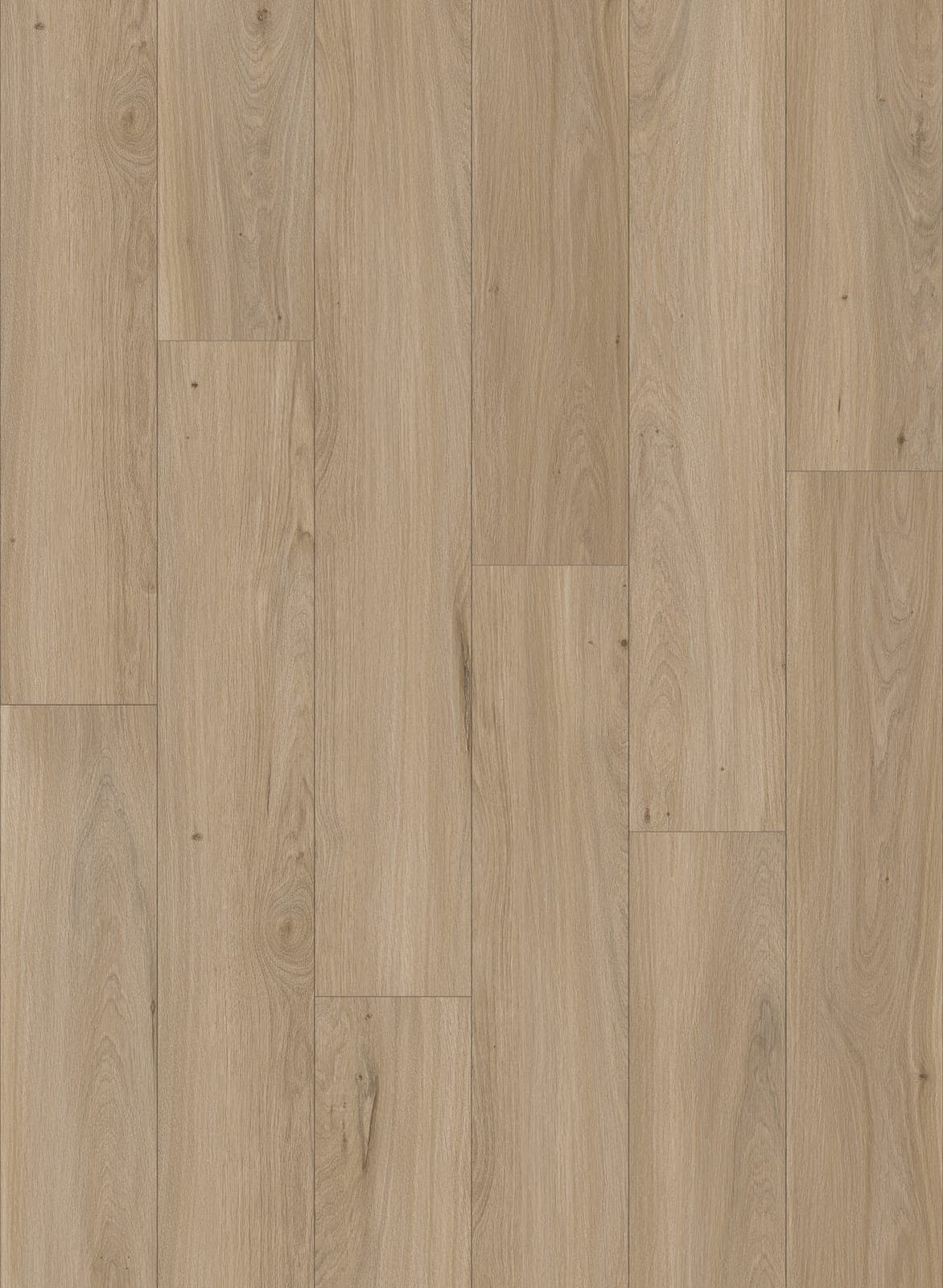 Harbinger Signature Acoustic Click – Birmingham thumbnail 2