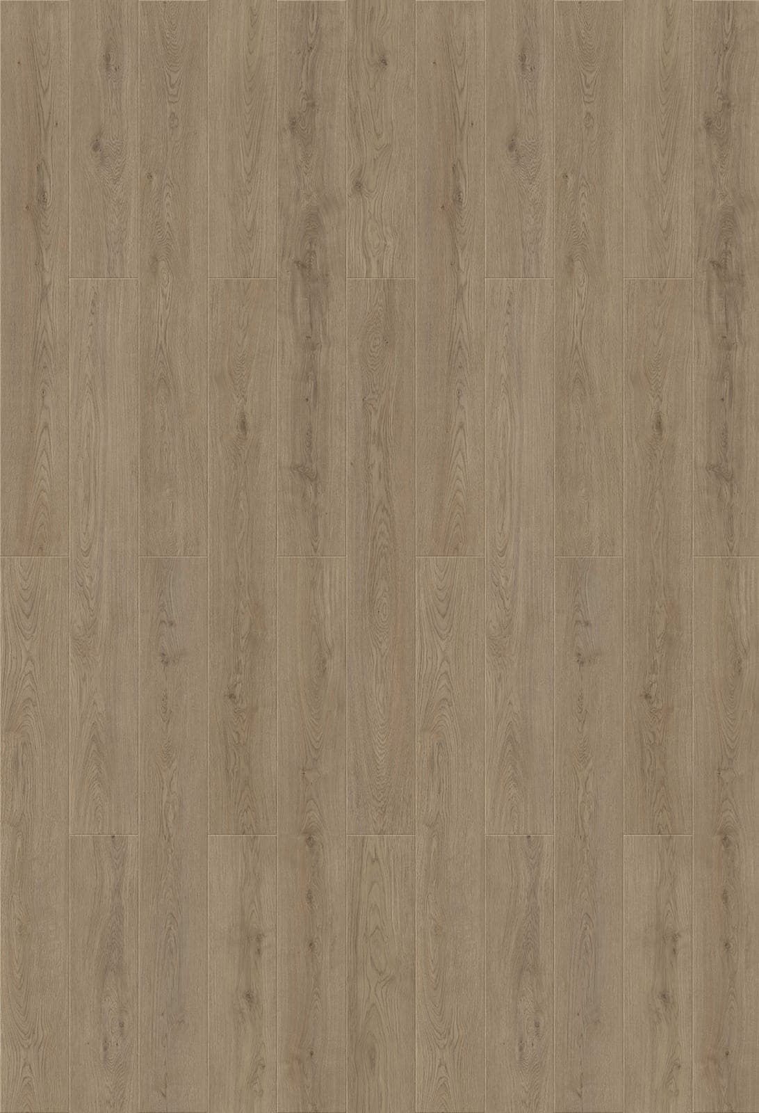 Harbinger Signature Acoustic Click – Truro thumbnail 2