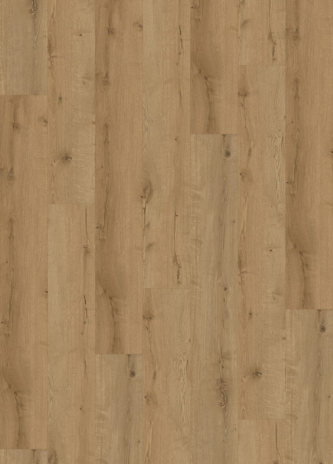 Harbinger Signature Acoustic Click – Derby thumbnail 2