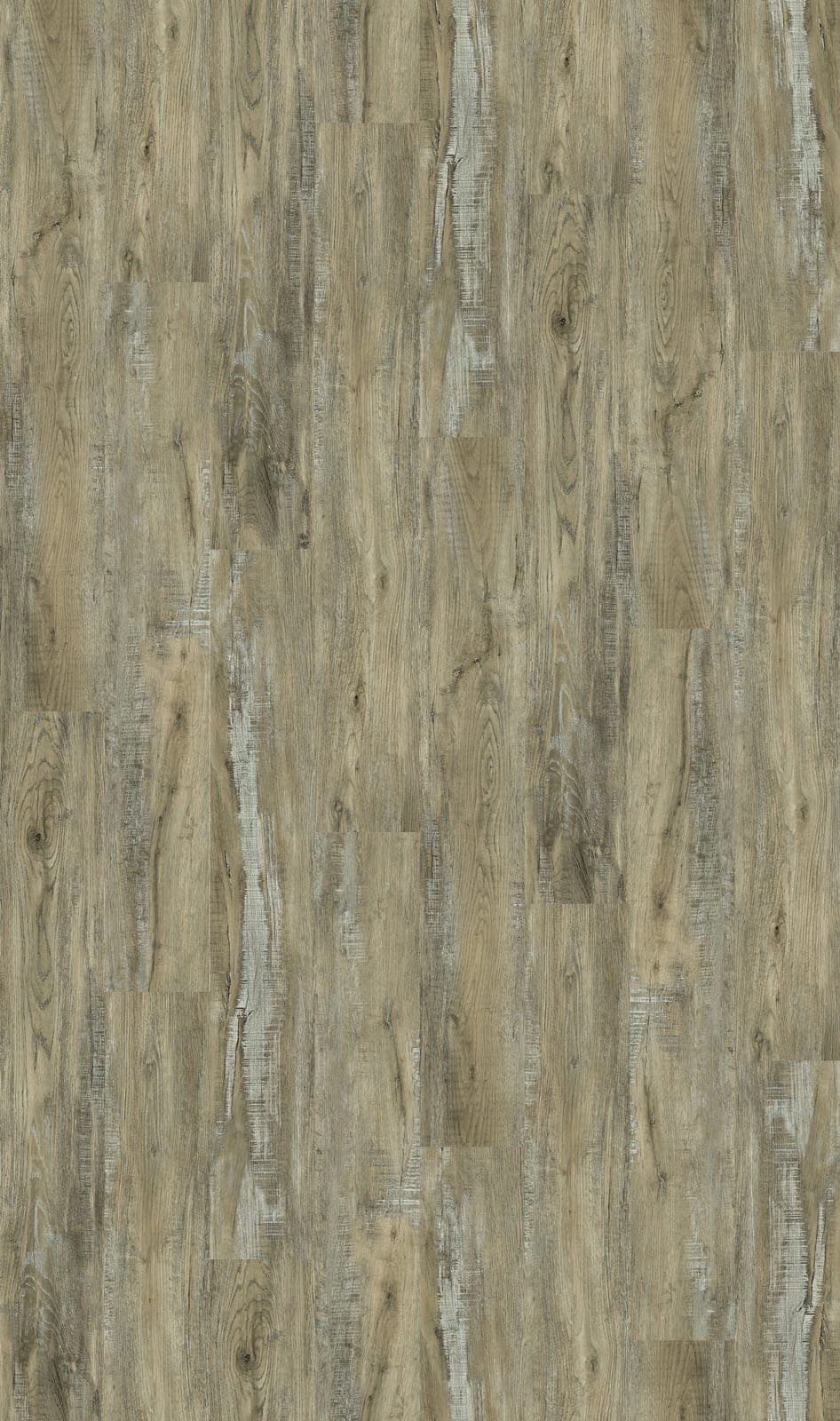 Harbinger Signature Acoustic Click – Durham thumbnail 2