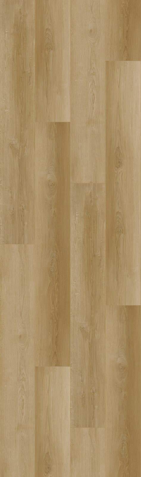 Harbinger Craftsman – Tonga thumbnail 2