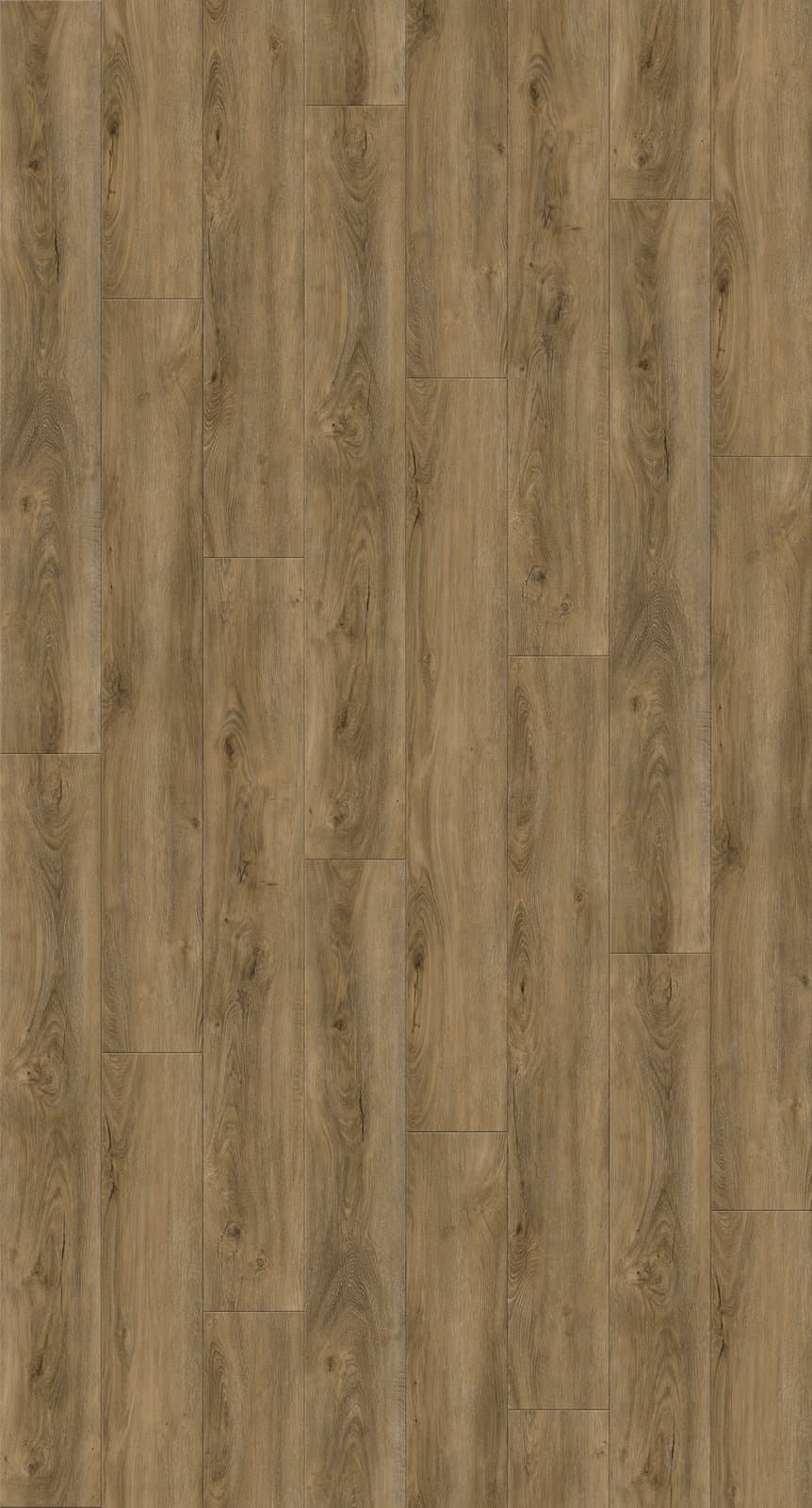 Harbinger The Quiet Zone – Munich thumbnail 2