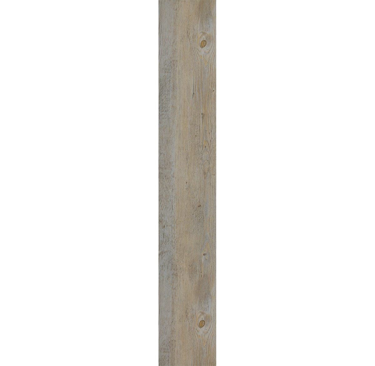 Harbinger The Quiet Zone – Serene thumbnail 3