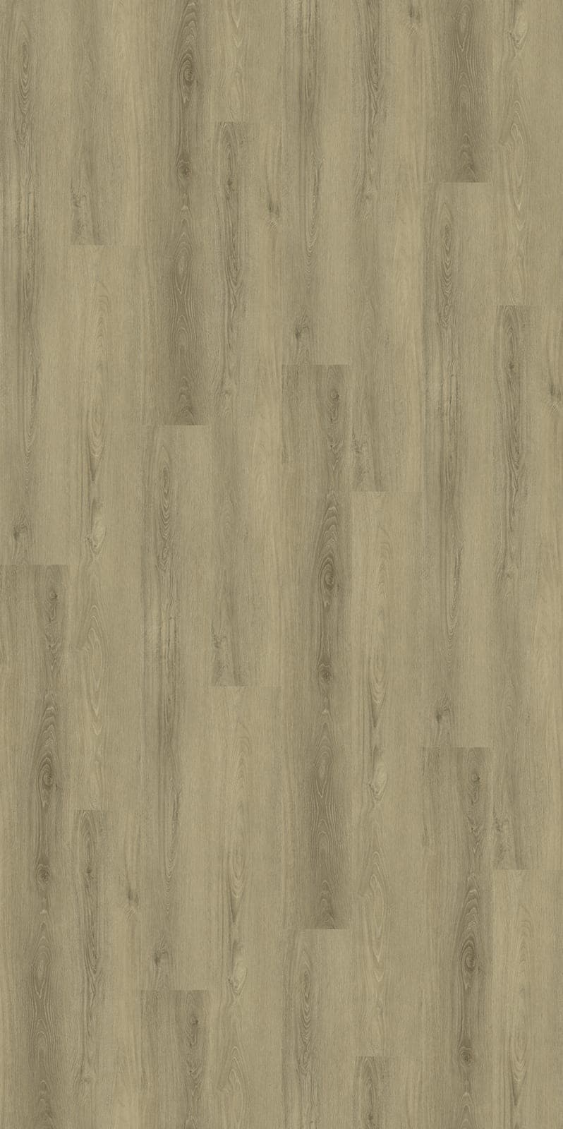 Harbinger Signature Acoustic Click – Alexandria thumbnail 2