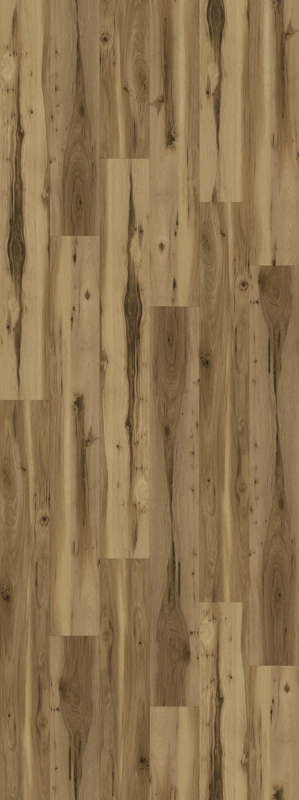 Harbinger Signature Acoustic Click – Knoxville thumbnail 2