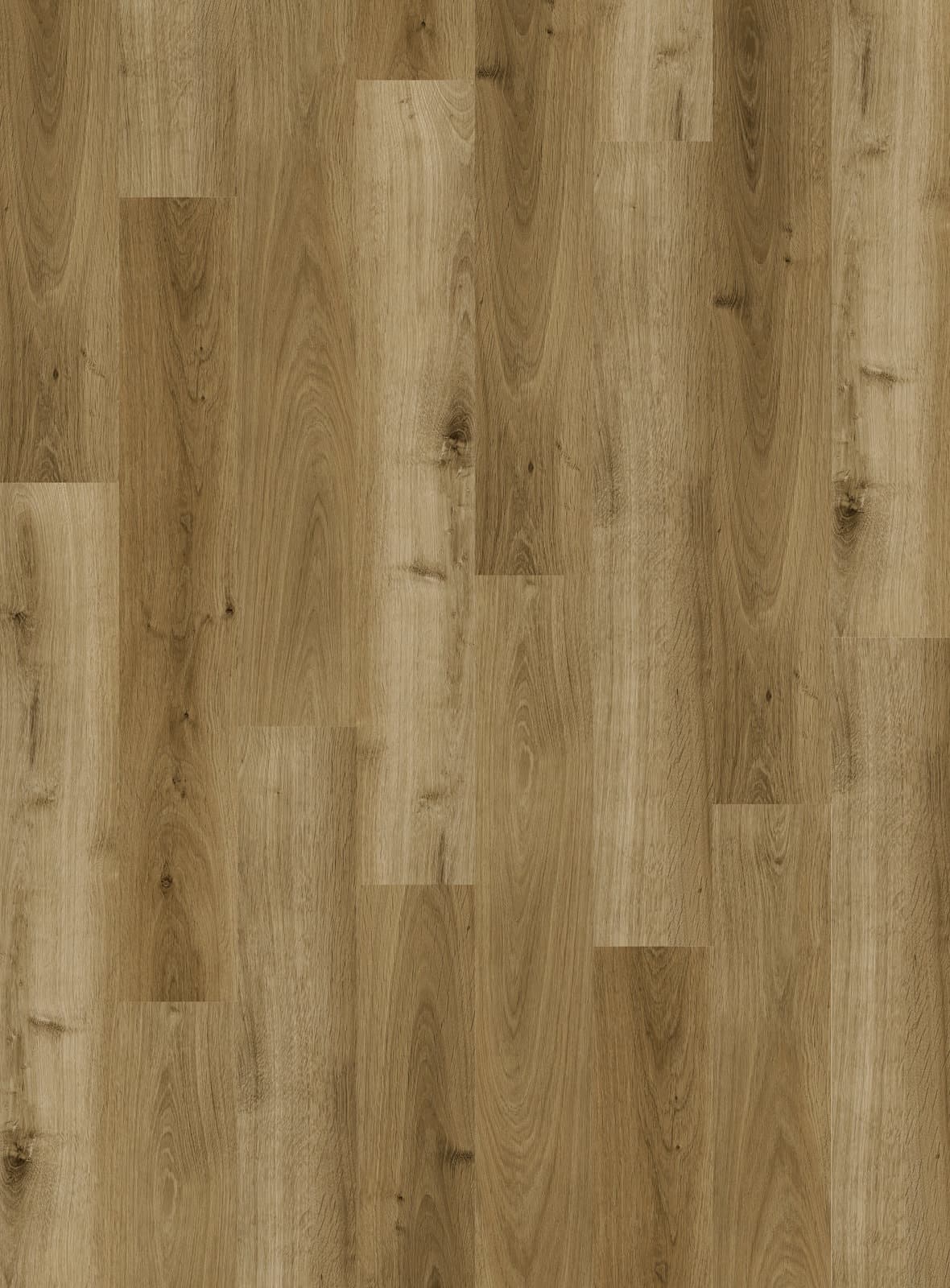 Harbinger The Quiet Zone – Cumulus thumbnail 2