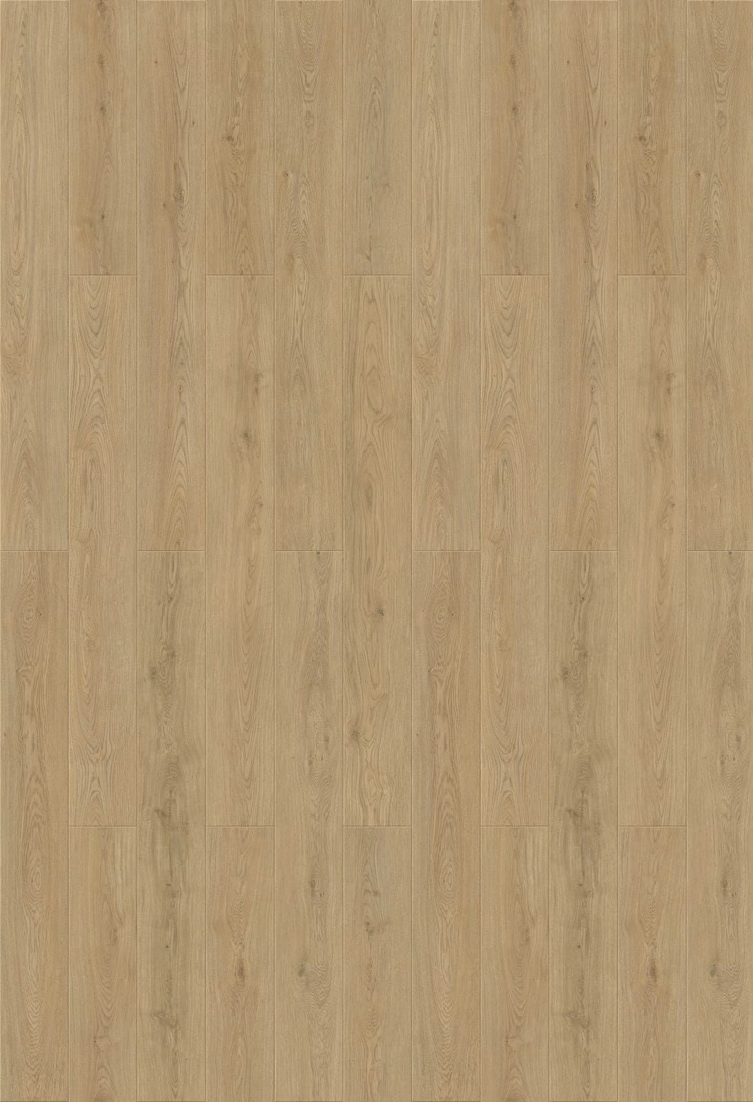 Harbinger Signature Acoustic Click – Colchester thumbnail 2