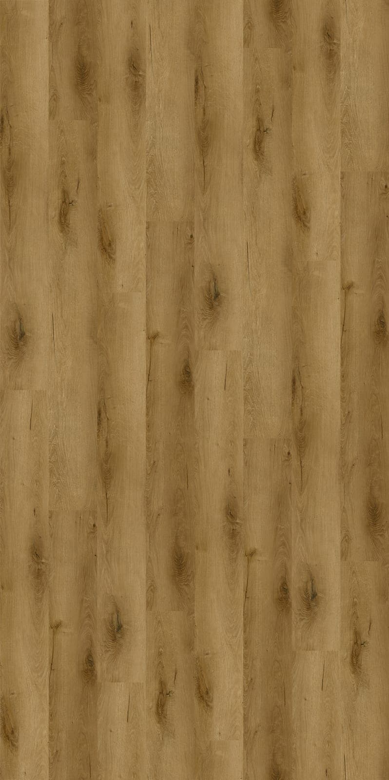 Harbinger Signature Acoustic Click – San Antonio thumbnail 2