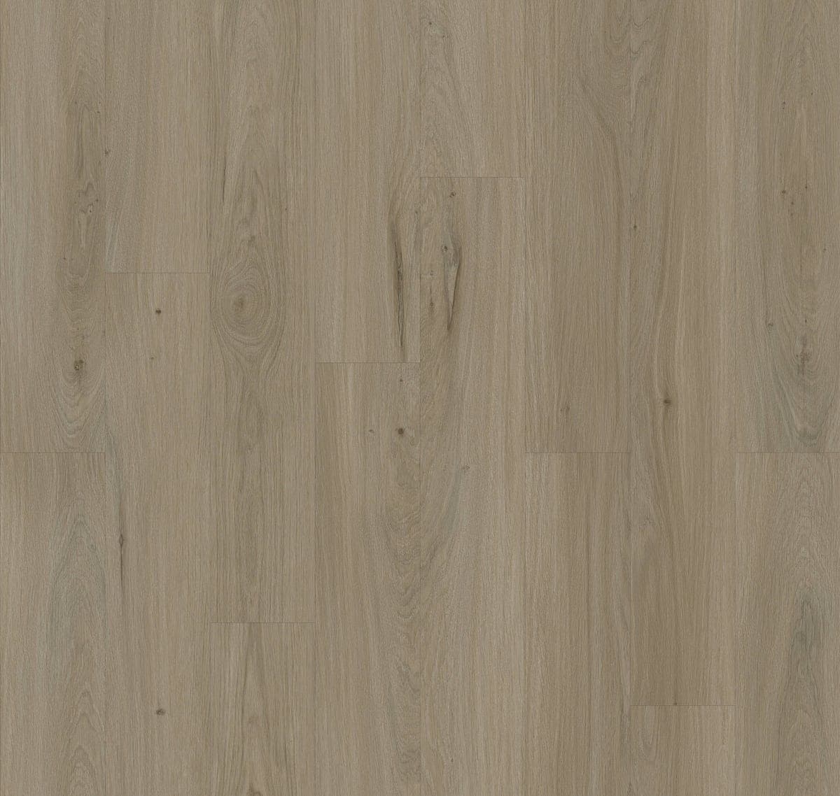 Harbinger Contract – Canberra thumbnail 2