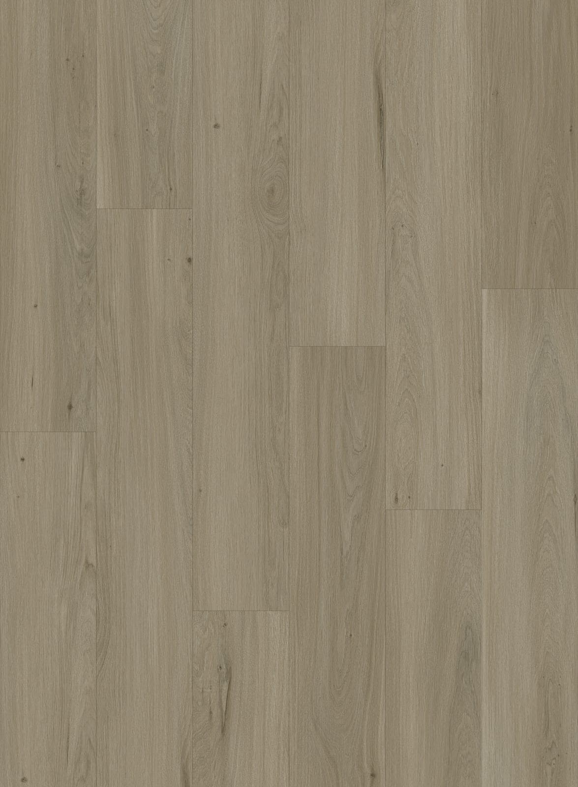 Harbinger Signature Acoustic Click – Poole thumbnail 2