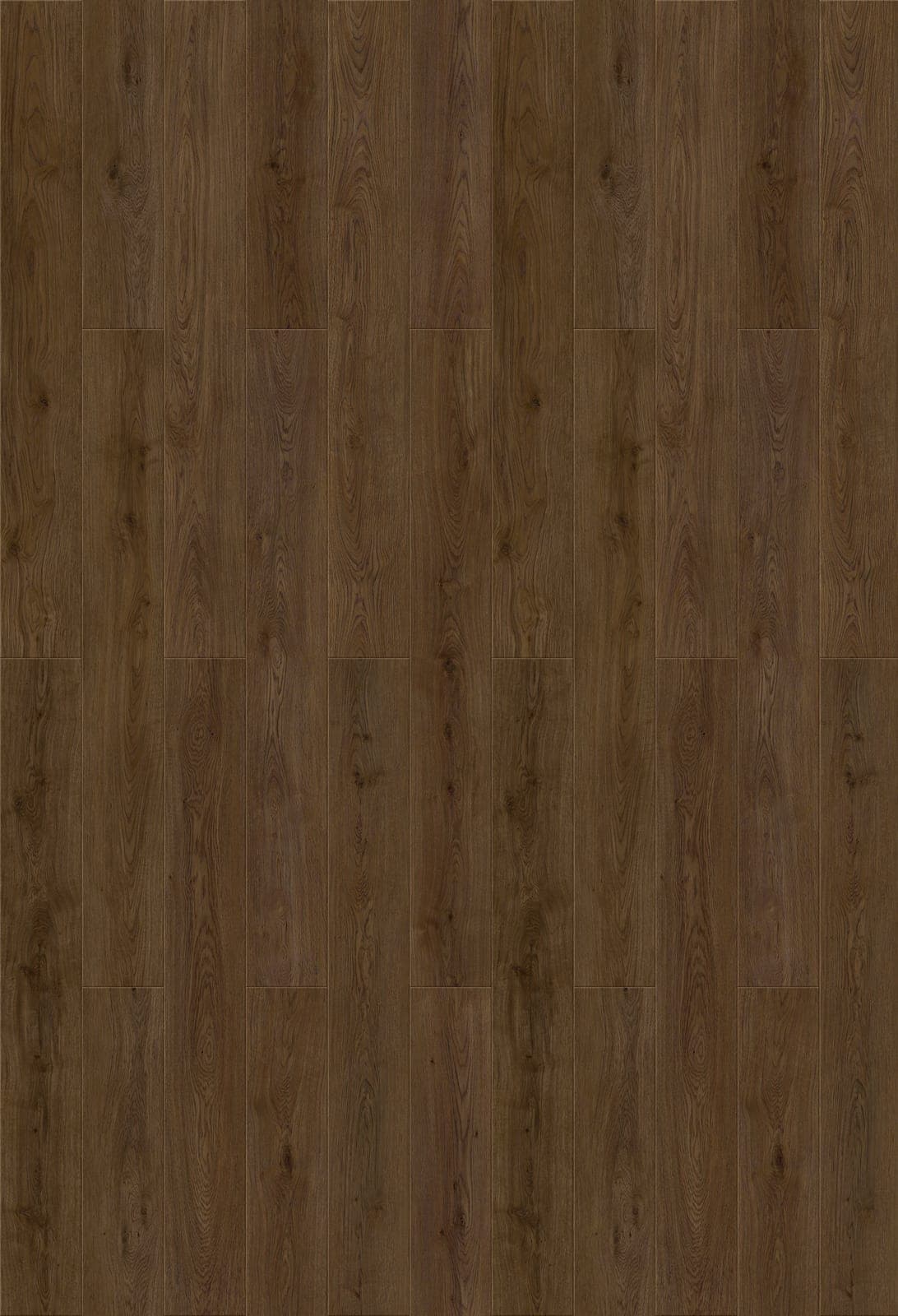 Harbinger Signature Acoustic Click – Canterbury thumbnail 2