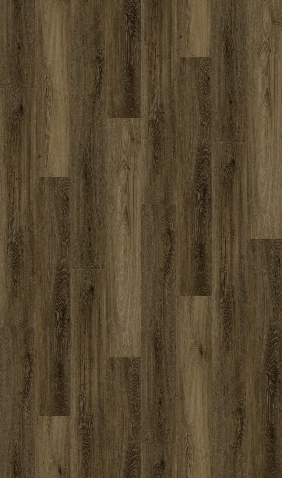 Harbinger Signature Acoustic Click – Chester thumbnail 2