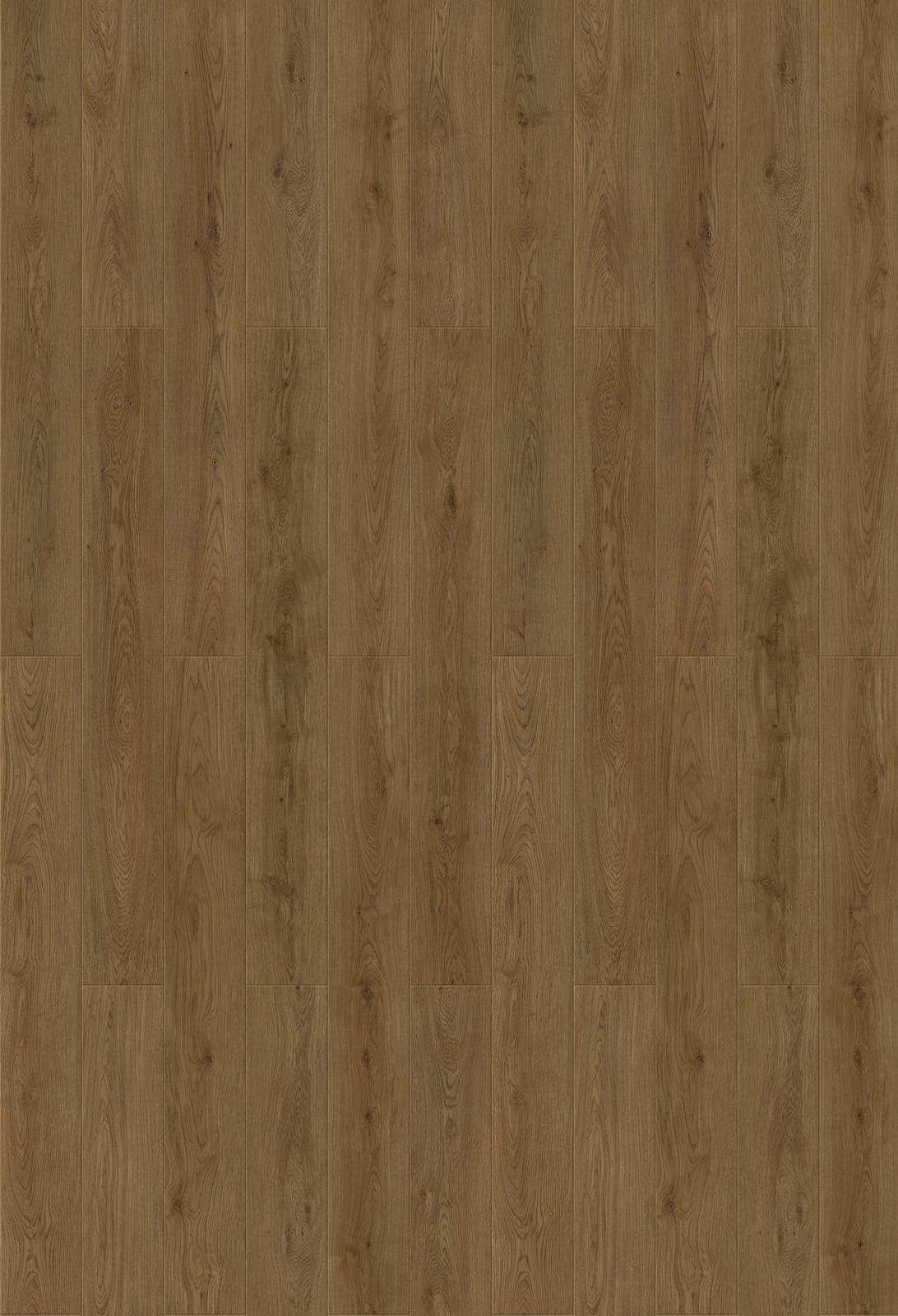 Harbinger Signature Acoustic Click – Plymouth thumbnail 2