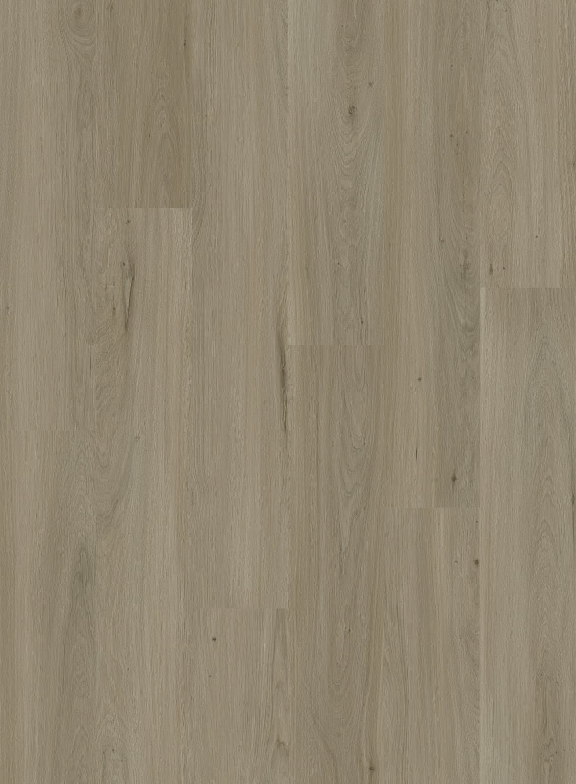 Harbinger The Quiet Zone – Sea Salt thumbnail 2