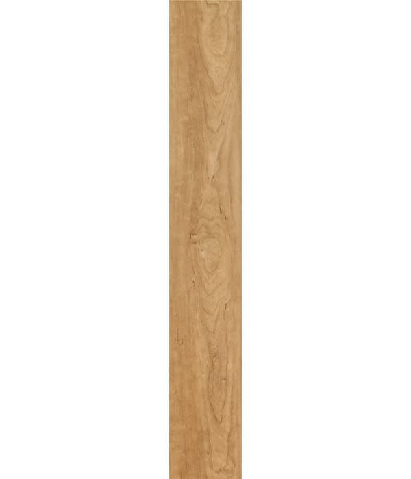 Harbinger Contract – Bonsai Maple thumbnail 3