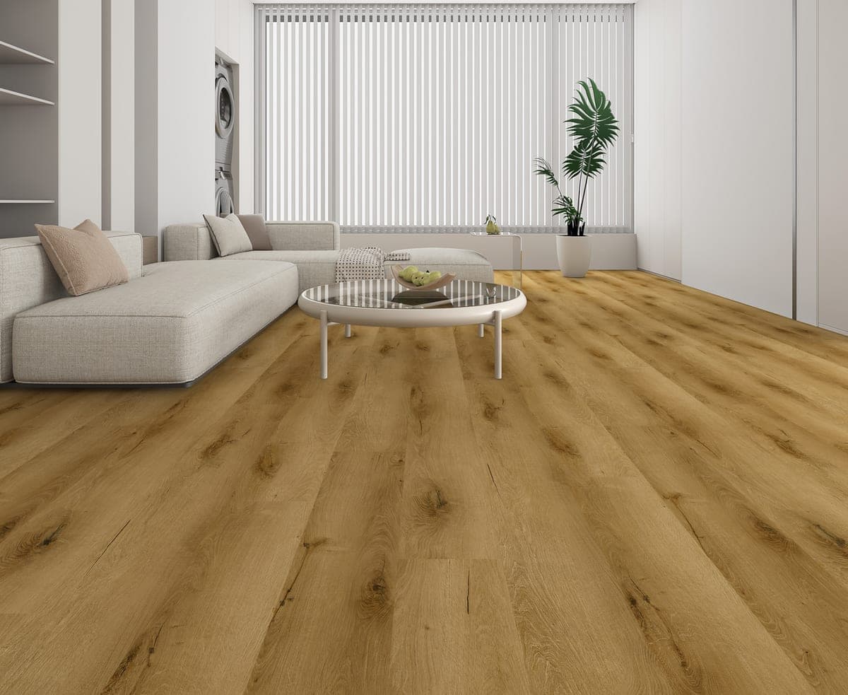 Harbinger Signature Acoustic Click – San Antonio