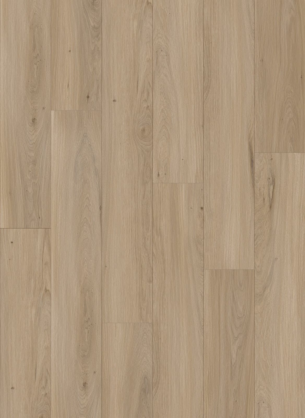 Harbinger The Quiet Zone – Copenhagen thumbnail 2