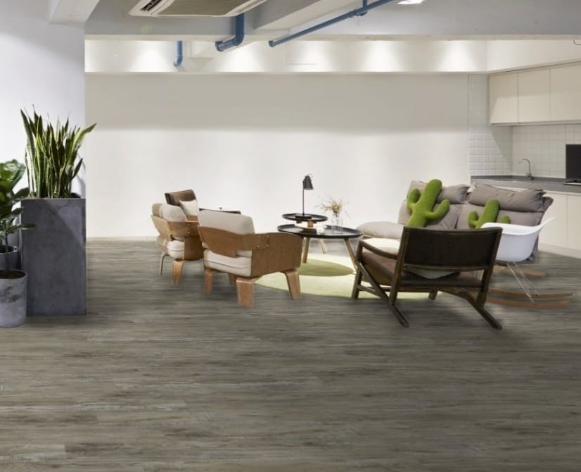 Beachcomber in a room